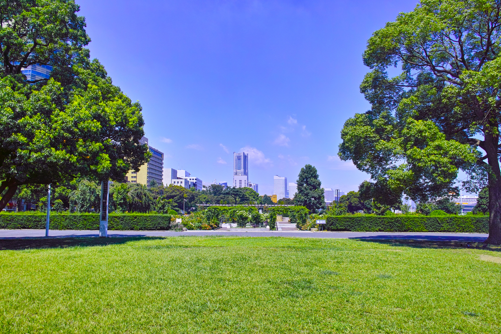 緑が広がる公園